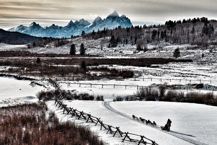 Jackson Hole Full-Day Dog Sledding and Snowmobiling Combo Trip  - Photo 1 of 12
